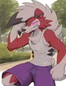 wolf1234567's Avatar